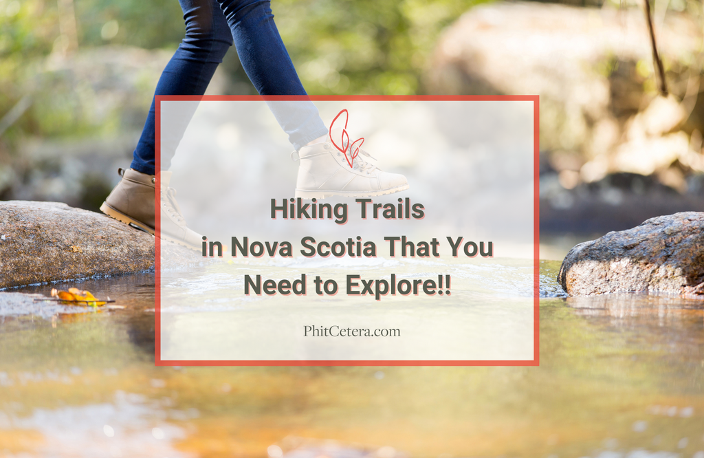 Hiking trail in Nova Scotia