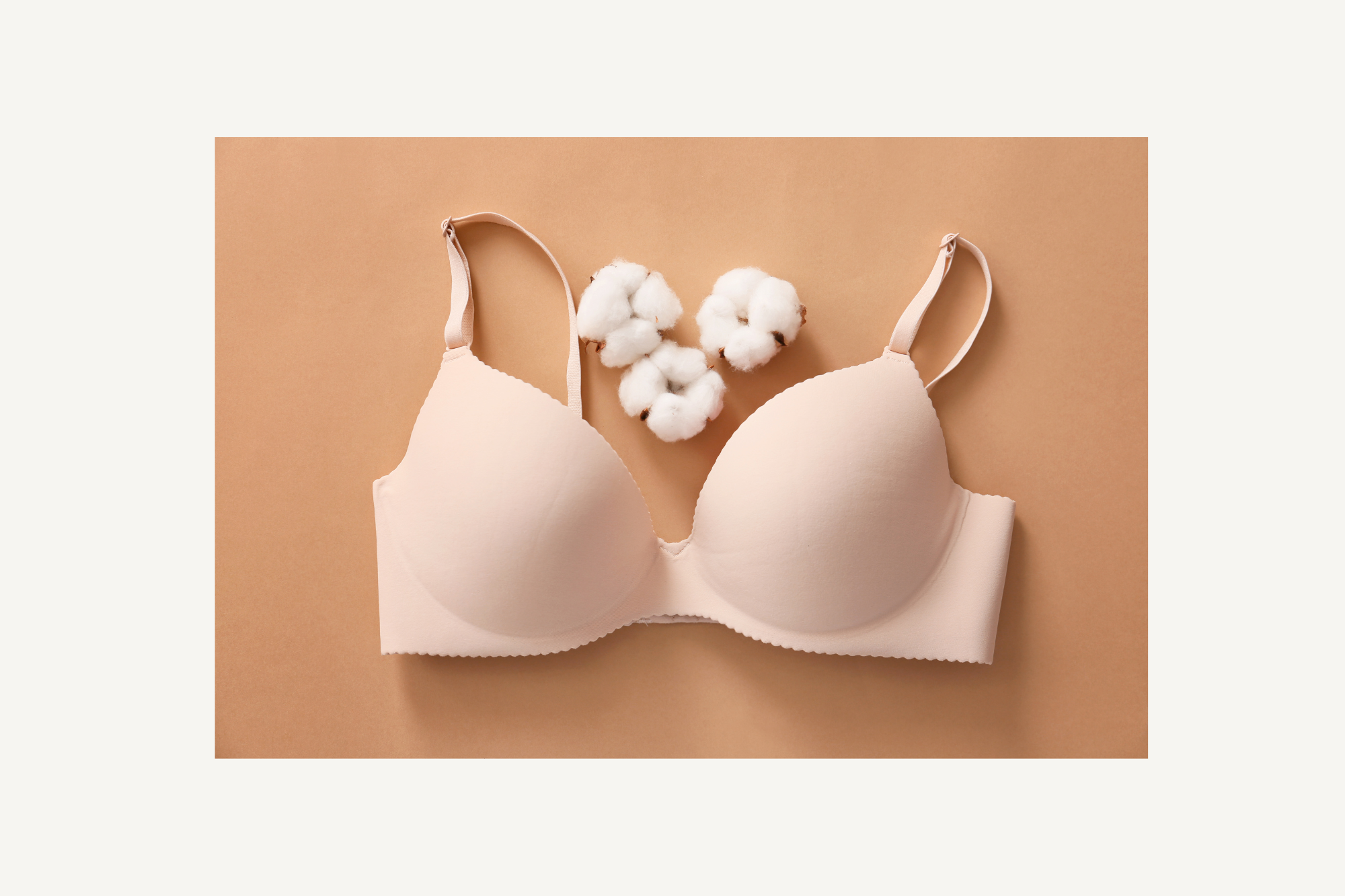 Intimates & Basics