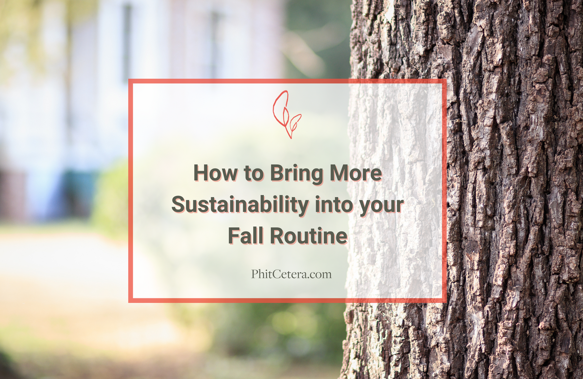How to Bring More Sustainability to your Fall Routine
