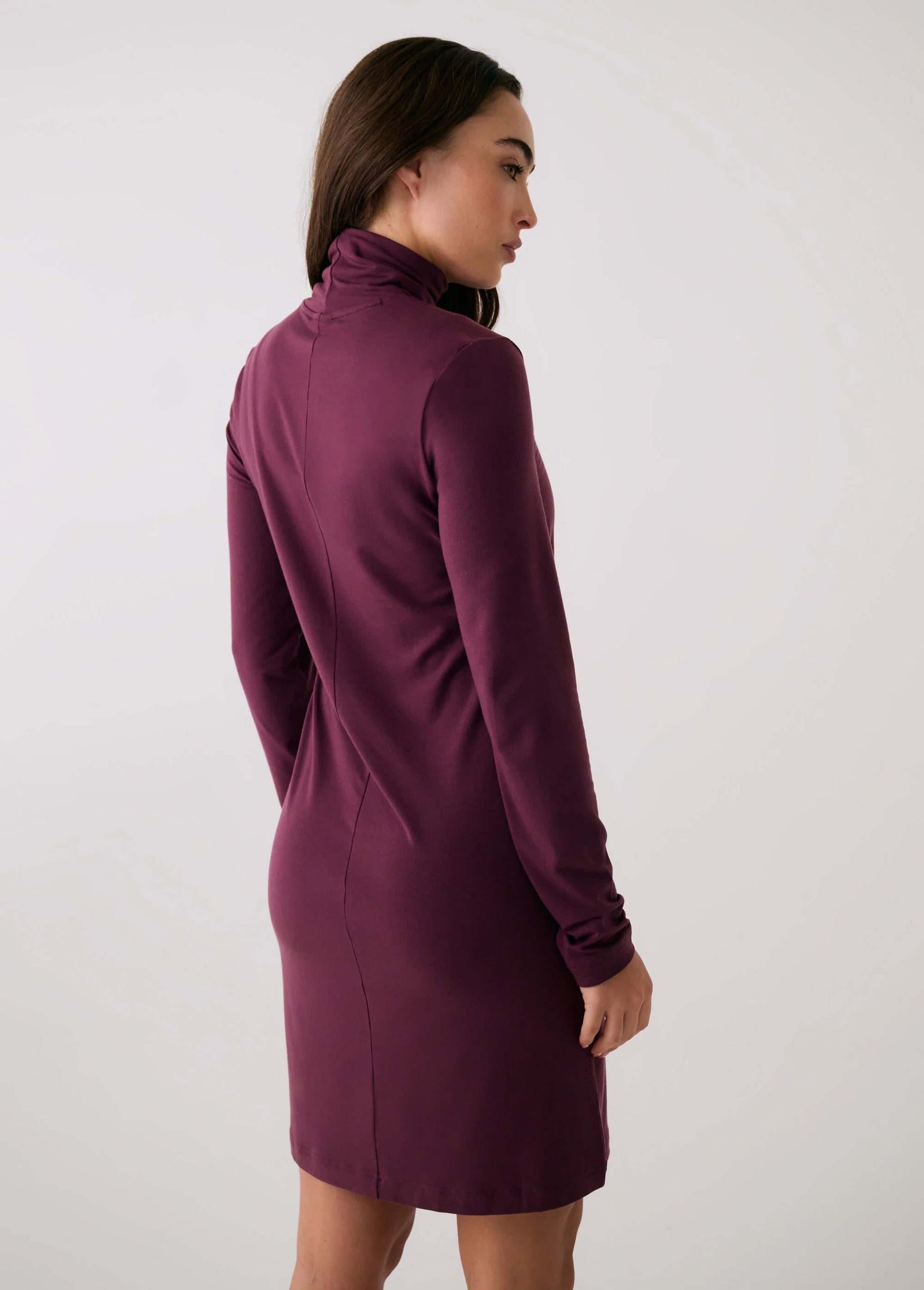 Dynamic Turtleneck Dress - Dark Cherry