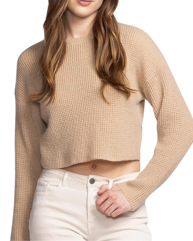 Tobi Sweater in Beige