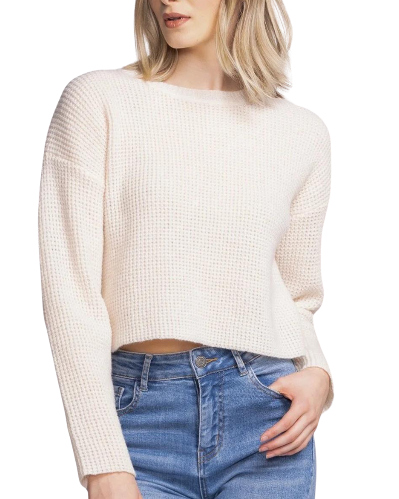 Tobi Sweater in Cream