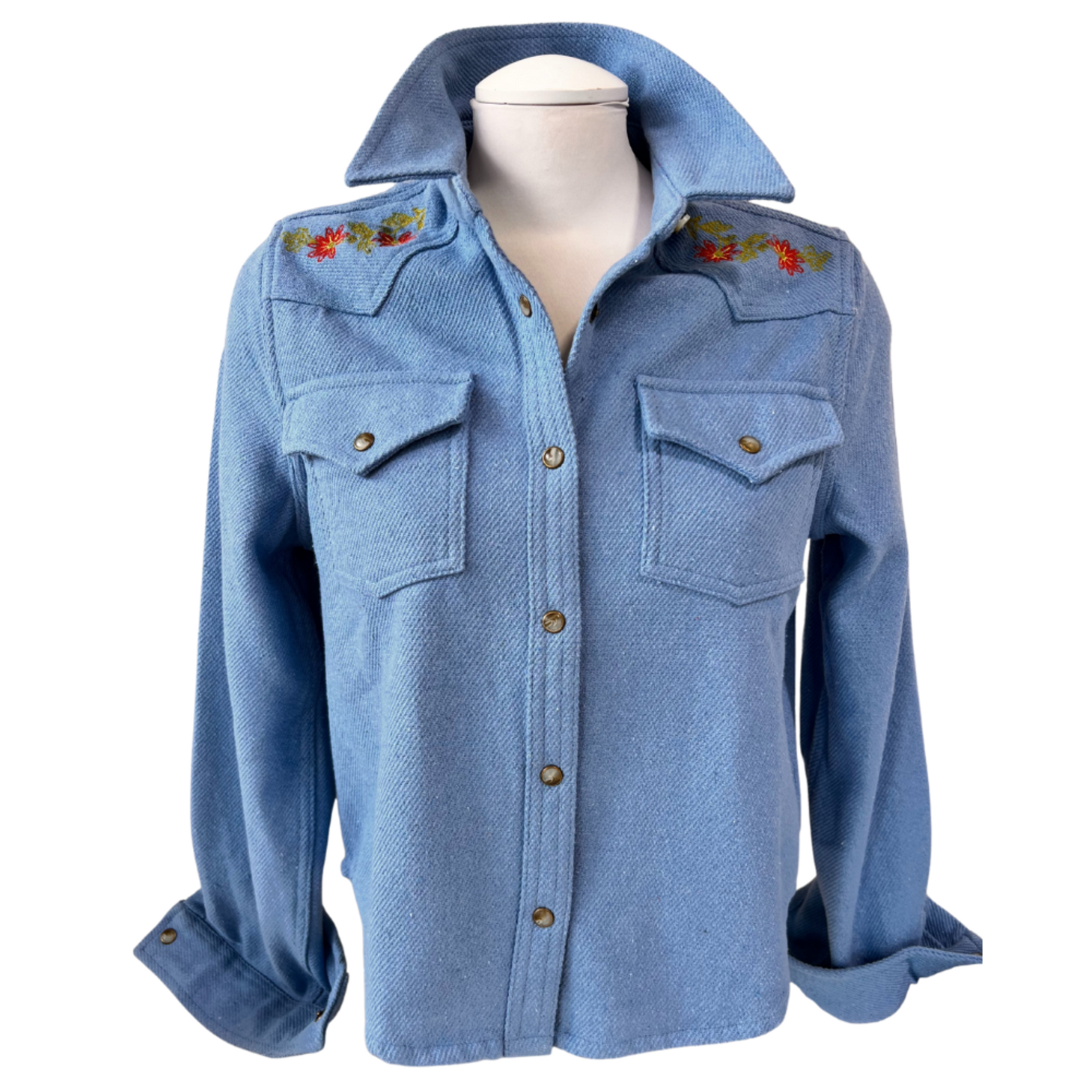 Conifer Western LS Shirt in Blue